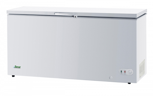 BD650_deep_freezers_congelatori_pozzettto_forcar_refrigetration